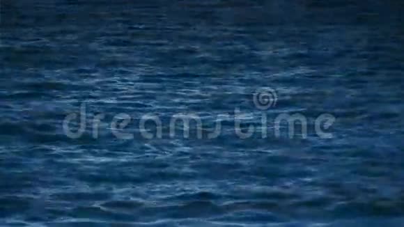 海洋水面和水下环视频的预览图