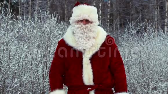 愤怒的圣诞老人和桦树视频的预览图