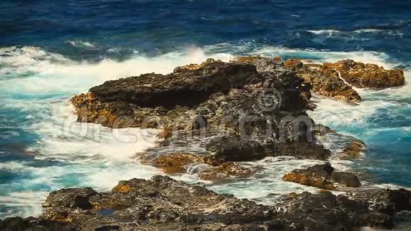洛基太平洋海岸夏威夷毛伊岛视频的预览图