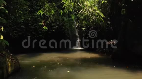 巴厘岛丛林瀑布4K飞视频视频的预览图