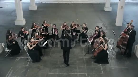 管弦乐队音乐家在音乐厅拉小提琴视频的预览图
