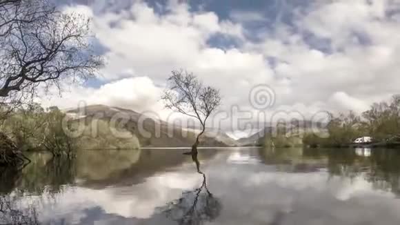 联合王国威尔士斯诺多尼亚国家公园Llanberis孤树视频的预览图
