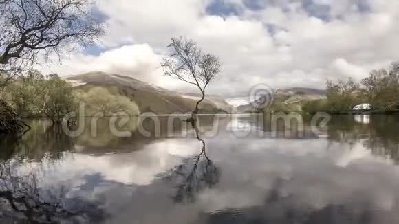 联合王国威尔士斯诺多尼亚国家公园Llanberis孤树视频的预览图