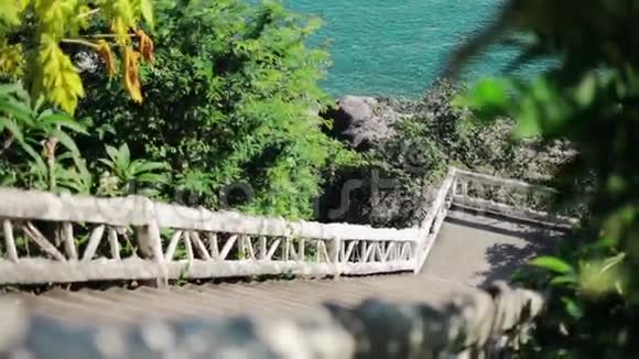 棕榈树的热带背景泰国视频的预览图