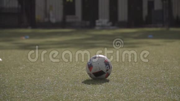 球场草地上的足球视频的预览图