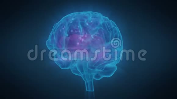 人类脑区兴奋脑活动视频的预览图