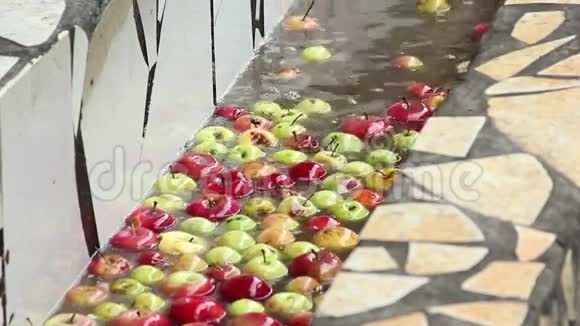 苹果果汁生产线视频的预览图