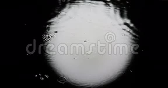 掉在水里的水满月视频的预览图