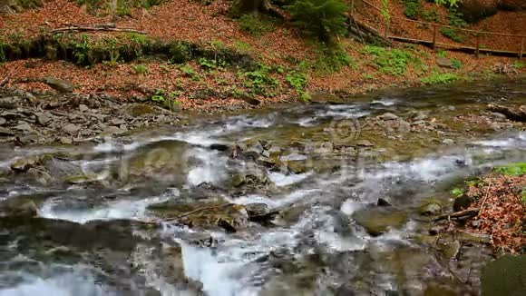 山河溪景观湍急的河流视频的预览图
