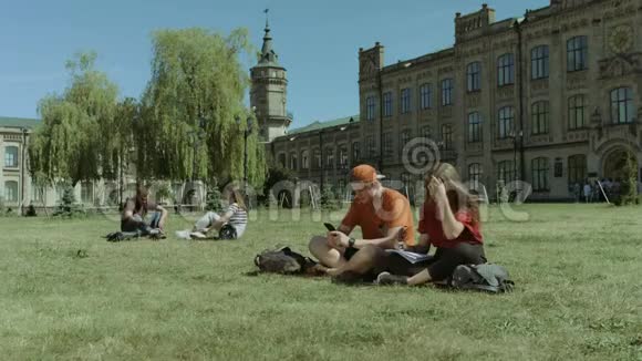 大学生在校园草坪上学习视频的预览图