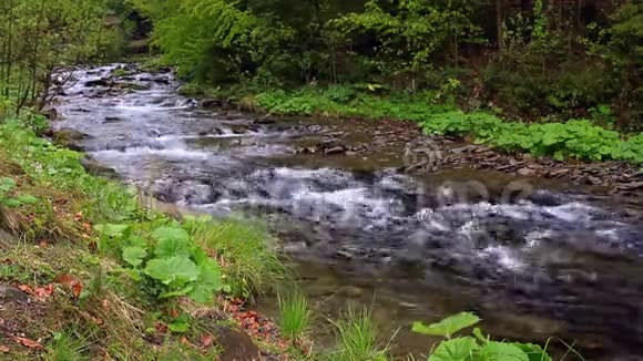 湍急的山河流过森林快山河视频的预览图