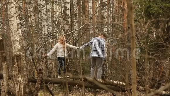 可爱的女孩和男孩走在桦树林里视频的预览图