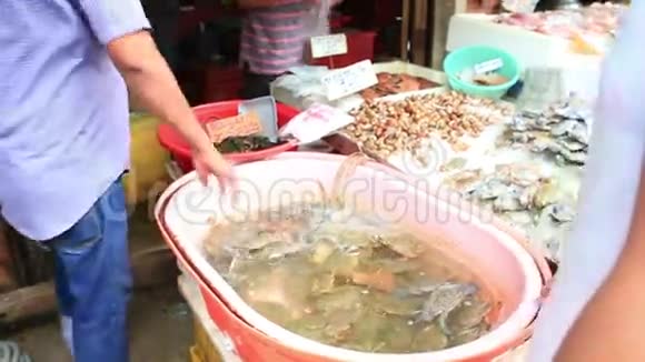 泰国新鲜海鲜市场视频的预览图