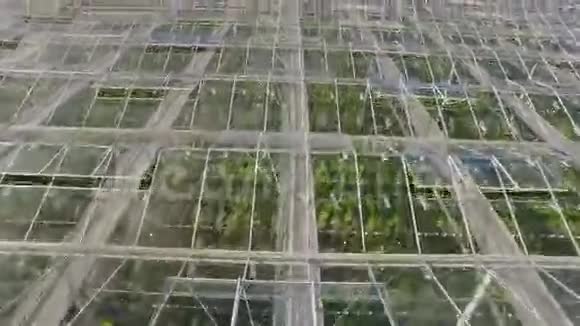 农业温室的鸟瞰图视频的预览图
