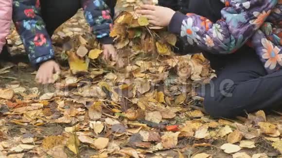 秋天公园里不知名的小孩子视频的预览图