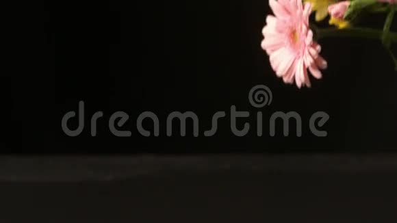 花团落在潮湿的黑色表面视频的预览图