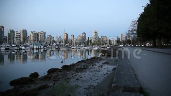 加拿大不列颠哥伦比亚省温哥华全景日出时有水反射清晨从斯坦利公园1080p视频的预览图