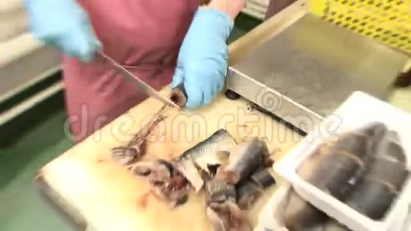 加工海洋产品的工厂切鱼视频的预览图