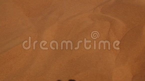 沙子上的脚印视频的预览图