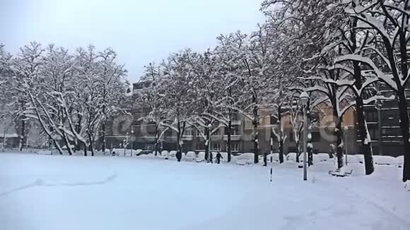 在萨格勒布中心的公园里下雪视频的预览图