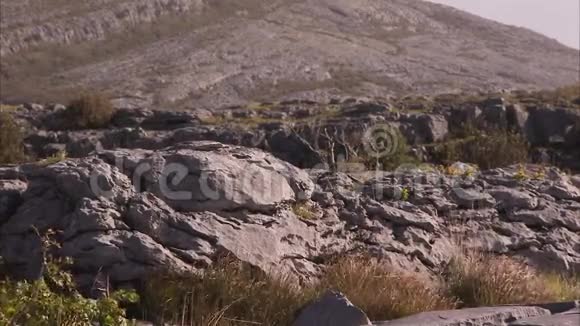 爱尔兰的岩石地形视频的预览图