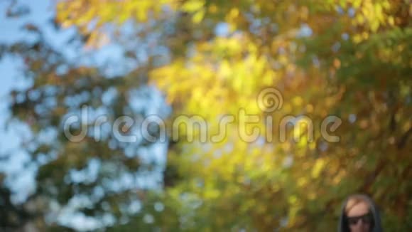 秋天公园戴太阳镜的漂亮女人黄叶视频的预览图