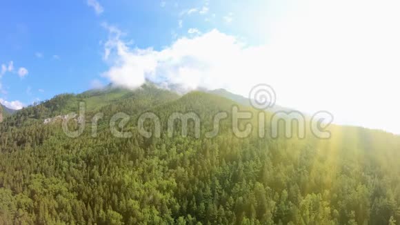 美丽的风景山绿林蓝天阳光视频的预览图