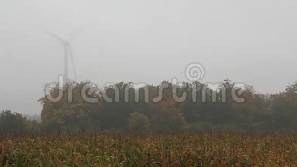 玉米田风涡轮雾3视频的预览图