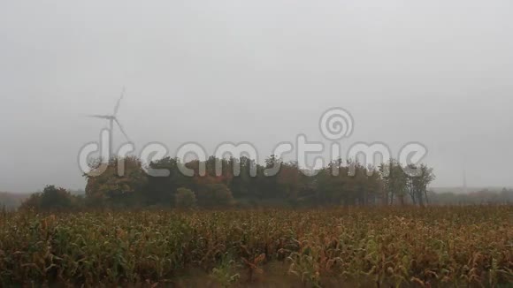 玉米田风涡轮雾1视频的预览图