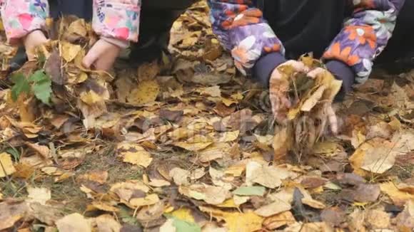 秋天公园里不知名的小孩子视频的预览图