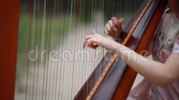 女竖琴演奏竖琴视频的预览图