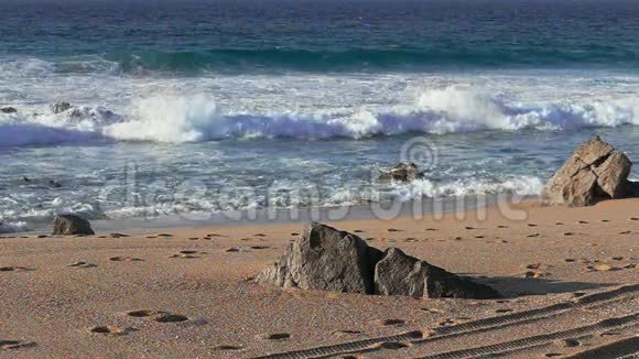 在沙滩上奔跑的人背景是波浪视频的预览图