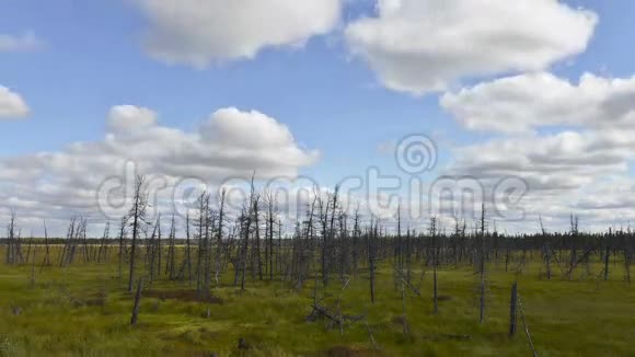 西伯利亚亚马尔俄罗斯的死木上形成和飞云的时间推移视频的预览图