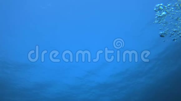 蓝色的水和泡泡视频的预览图
