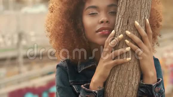 黑色混血女人大非洲卷发在草地上高干的秋草和日落光视频的预览图