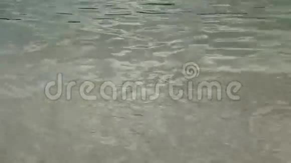 浪淘沙拍视频的预览图