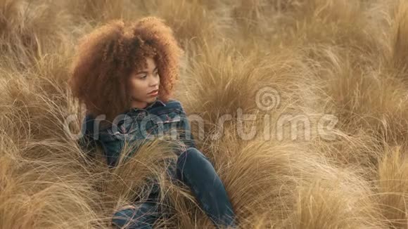 黑色混血女人大非洲卷发在草地上高干的秋草和日落光视频的预览图