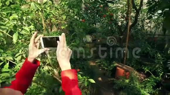 美丽的年轻女子在植物园内打电话拍照视频的预览图