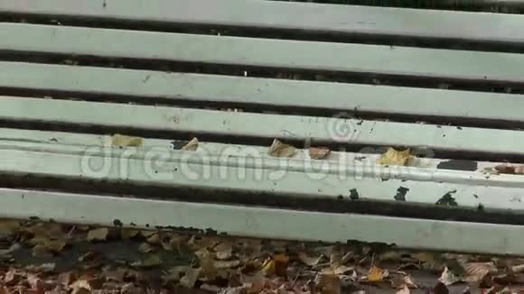 秋季公园的复古白色木凳视频的预览图