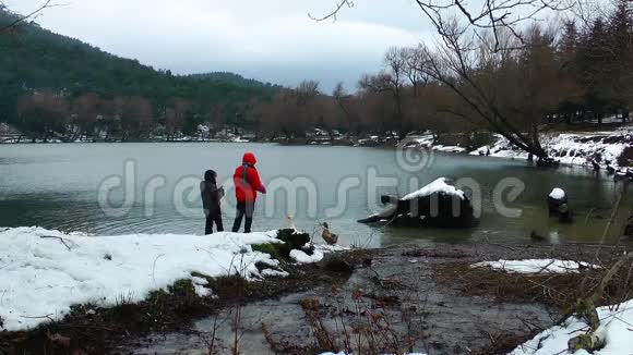 冬天孩子们在湖边喂鹅视频的预览图