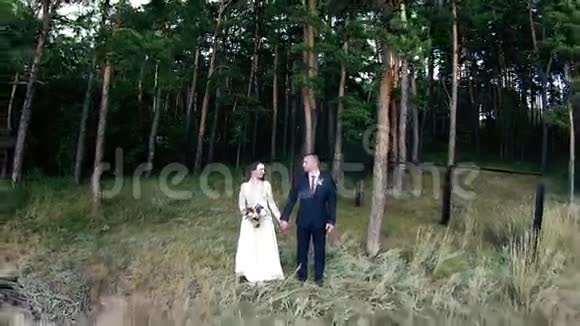 新婚夫妇在美丽的针叶林中视频的预览图