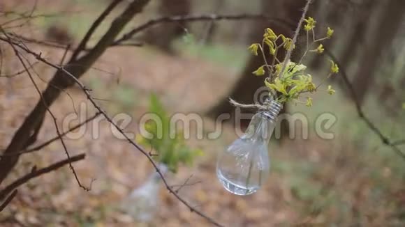带花的生态森林婚礼灯视频的预览图