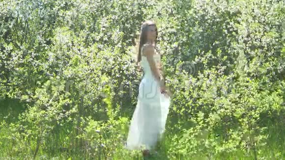 女孩和盛开的樱桃女孩站在生活方式中大自然绽放着花园的樱桃视频的预览图
