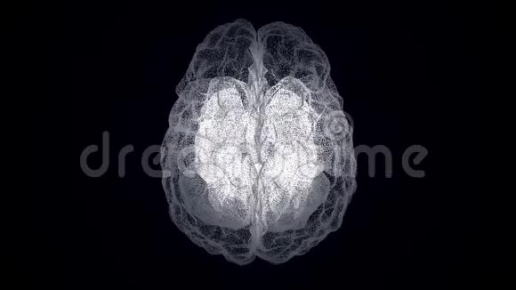 人类大脑的全息图在黑色背景上形成粒子的人脑X射线动画视频的预览图