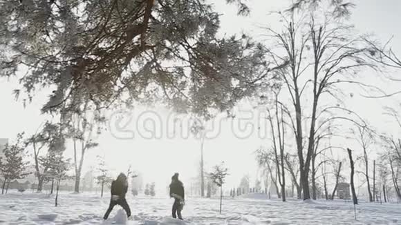 在童话般的冬天天气里一对相爱的夫妇玩雪球视频的预览图