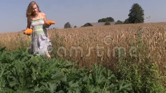 穿着礼服的怀孕园丁带着成熟的西葫芦蔬菜视频的预览图