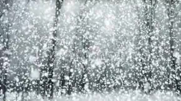 神奇的雪灰4k大气诗意冬季视频背景环60fps视频的预览图