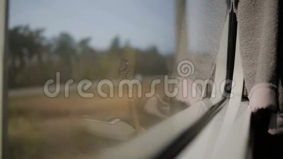 从移动列车的窗口查看绿色自然晴天在观景视频的预览图