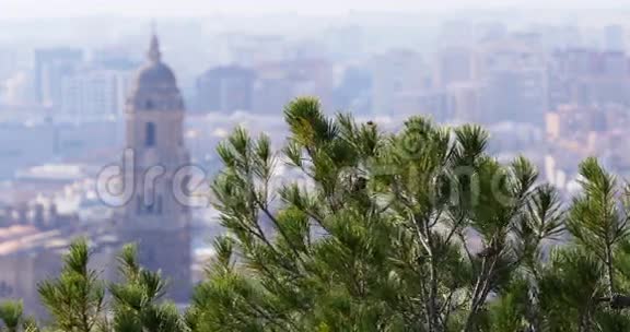 马拉加阳光日著名大教堂松景4k视频的预览图