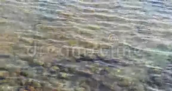 Calpe沙滩地中海海浪4k特写视频的预览图